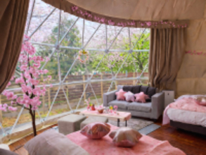＜1日1棟限定＞ 花粉・寒さゼロの「インドアお花見」×「夜桜BBQ」でW満喫！ブリリアントヴィレッジ日光、春限定プランを3/9より期間限定スタート