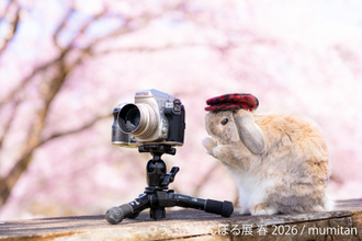 祝10周年「うさぎしんぼる展」が過去最大規模で名古屋開催決定！2月28日(土)～ 新作＆限定グッズの展開や3月3日“うさぎの日”限定イベントなど見どころ満載