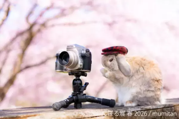 祝10周年「うさぎしんぼる展」が過去最大規模で名古屋開催決定！2月28日(土)～ 新作＆限定グッズの展開や3月3日“うさぎの日”限定イベントなど見どころ満載