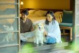 「【愛犬と泊まれる古民家リトリート　赤城山 - 懐 - 】夏の味覚を贅沢に味わう会席コースと、愛犬との絆を深める記念日プランが新登場！」の画像1