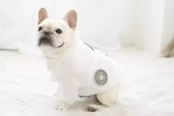 「暑い」と言えない家族のために　服の中に風の通り道をつくる「空調ペット服(R)バルーンタイプ」8/18誕生！