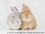 「10周年“うさぎの祭典”が開幕！200点超の作品＆限定グッズが集結「うさぎしんぼる展 2026」9/18(金)から東京で開催」の画像1