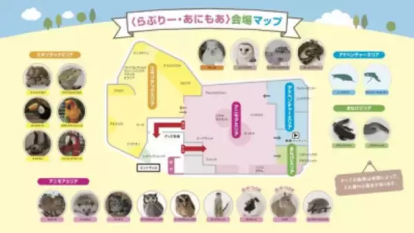 「東京スカイツリーの足元東京ソラマチ(R)に アニマルプレイグラウンド「ラブリー・アニモア」が 3月17日(金)オープン！」の画像