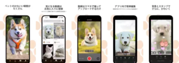 「ペット専門招待制ショート動画SNSアプリ「PETS」が新登場！ 先着500名様限定で事前登録受付を12月3日 23:59まで実施」の画像