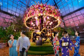 夏バラの開花にあわせた大人時間を京成バラ園が提供　 京成バラ園ライトアップイベント『イルミナイトガーデン』 7月9日以降の毎週土曜日及び3連休の6日間開催！