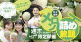 「御中元シーズン目前！6月下旬から今が旬のメロンの詰め放題や メロンを贅沢に使用したスイーツを期間限定で提供開始！」の画像1