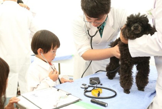 獣医師の仕事について知る！動物とふれあう！動物同伴OKイベント 「2026動物感謝デー in JAPAN “World Veterinary Day”」 2026年11月14日(土)開催