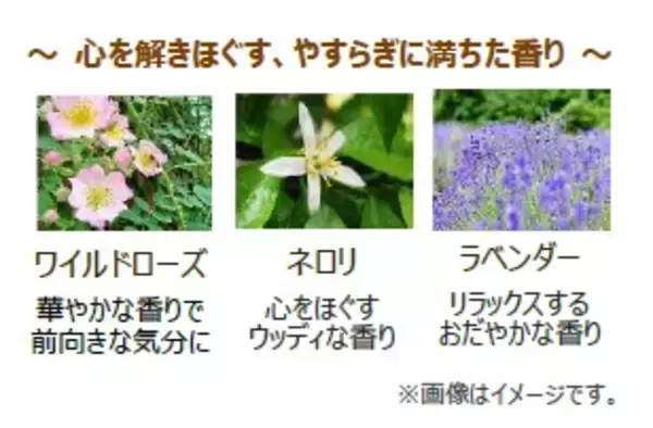 「3種の天然アロマ※1がやさしく香り、 ふっくらハリつや肌へ整える美容オイル　 2026年9月3日(木)より数量限定発売　 『フローラルリフトスクワラン』」の画像
