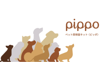 ペット尿検査キット『ピッポ(pippo)』が7月28日に発売！AI技術で愛犬の異常の兆候を見つけて主要10種類の病気疑いを素早く確認！