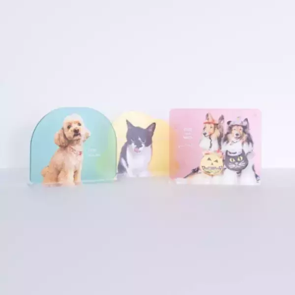 「ペットと暮らすご家庭に寄り添うニチガスの新プラン『でガ割もふもふ』第1弾、2025年11月1日より受付開始！」の画像