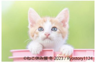 ねこ休み展 冬 2023」が1/27(金)～2/26(日)東京で開催！ 2/22“猫の日”限定特別企画も実施