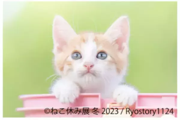 ねこ休み展 冬 2023」が1/27(金)～2/26(日)東京で開催！ 2/22“猫の日”限定特別企画も実施