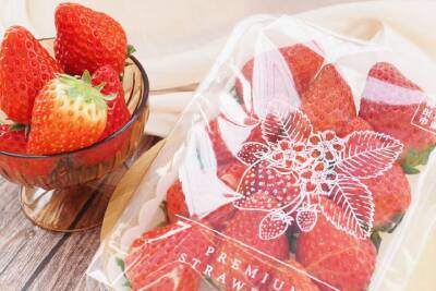 “茨城・鉾田からいちごの美味しさを全国へ”深作農園とカゴメの『野菜生活100』シリーズコラボを記念し登録商標いちご「ラブソング」(紅ほっぺ)予約受付開始