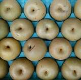 「旬の果実で秋を堪能！フレッシュな「梨」と梨ジュースおすすめ6選」の画像4