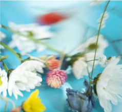 SHIROの限定フレグランス！可憐な夏の香り「サマーブーケ」新登場