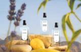 「香りで心のギアを切り替える新提案！ロクシタン「ART OF SCENT」よりムードフレグランス登場」の画像1