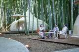 「【U25・学割プラン限定】動物園×グランピングのTHE BAMBOO FORESTが特別プラン開始　オールインクルーシブ＋先着でチェキフィルム10枚プレゼント！」の画像1