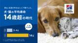 「～ヒルズ：ペットの健康のために 最先端の栄養科学を届けて50年目～　昭和・平成・令和で見る“ペットと人の関係史” 平均寿命14歳超(*1)。」の画像1