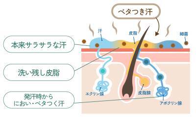 ベタつく「梅雨のジメジメ」「酷暑日」を乗り切る！快適素肌へ導くボディ用『さらさらパウダーせっけん』発売