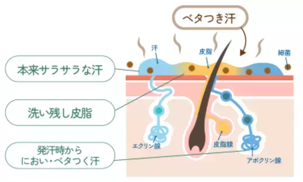 「ベタつく「梅雨のジメジメ」「酷暑日」を乗り切る！快適素肌へ導くボディ用『さらさらパウダーせっけん』発売」の画像
