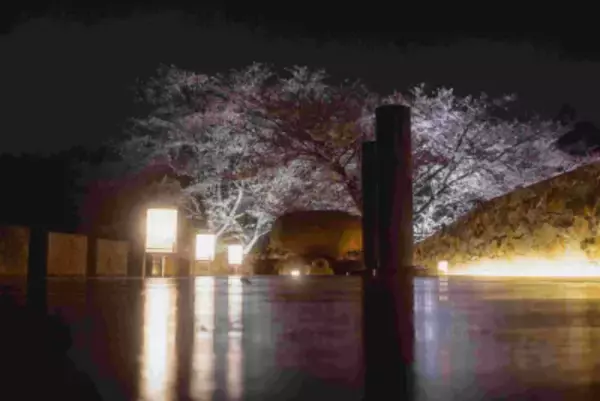 「連日の40度超え！1200年の伝統ある寺院が、猛暑のお墓参りは 日中ではなく夜間にシフトすることを提案　 2026年は新たに縁日を開催！家族で楽しめる参拝イベントへ」の画像