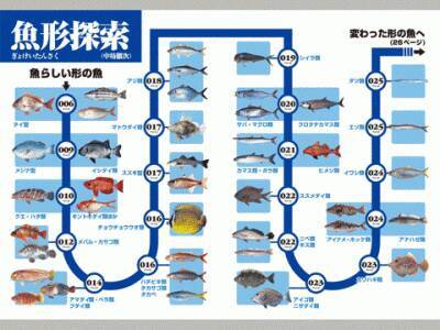 釣りのお供に 完璧に識別できるipad用アプリ 釣魚識別図鑑 10年8月16日 エキサイトニュース