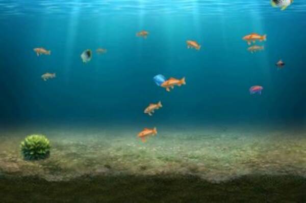 自ら魚を深海で釣って育てる Wで楽しむ新しい 魚 の育成ゲーム 無料 11年8月6日 エキサイトニュース