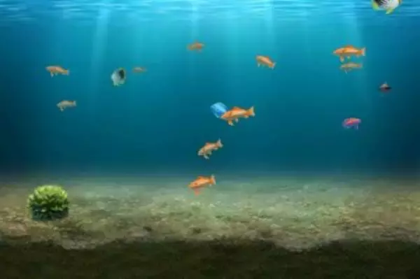 「自ら魚を深海で釣って育てる！Wで楽しむ新しい「魚」の育成ゲーム 無料」の画像