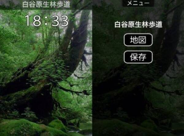 屋久島の 精霊の森 堪能 美しい画像で楽しめるアプリ 無料版 11年1月21日 エキサイトニュース