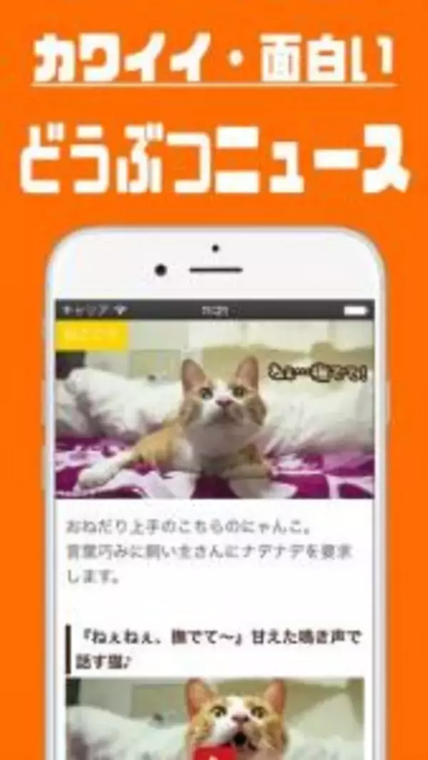 「ほっこりしたいときにおすすめ『癒しニュース』」の画像