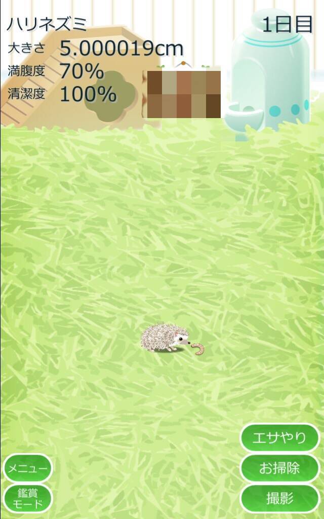 小さくて可愛い 癒しのハリネズミ育成ゲーム 17年3月31日 エキサイトニュース 小さくて可愛い 癒しのハリネズミ育成ゲーム 17年3月31日 エキサイトニュース