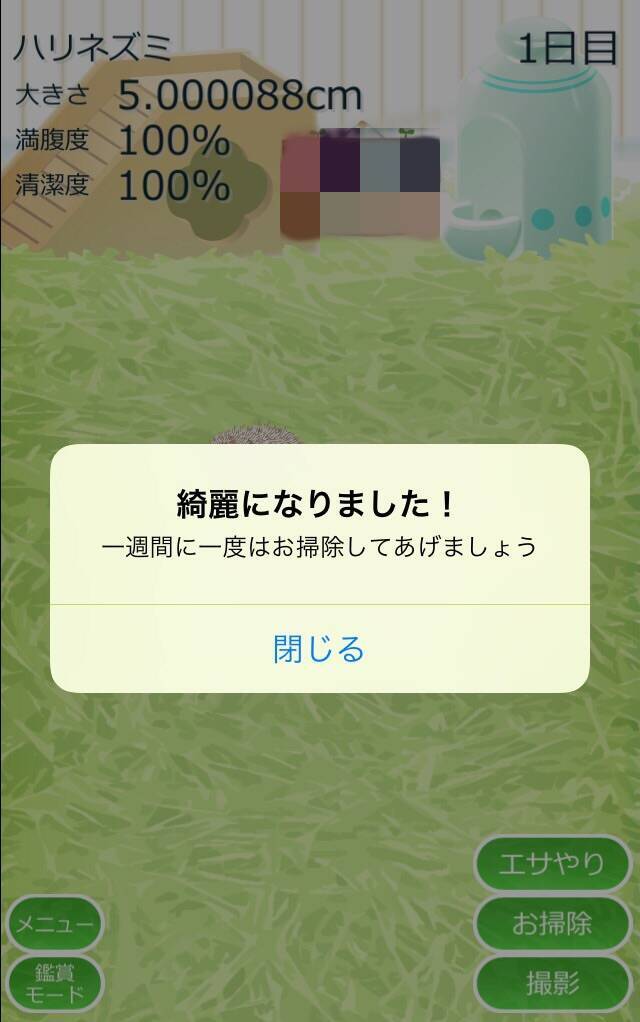 小さくて可愛い 癒しのハリネズミ育成ゲーム 17年3月31日 エキサイトニュース