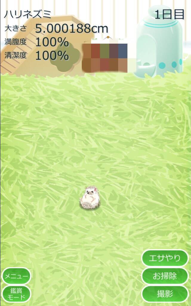 小さくて可愛い 癒しのハリネズミ育成ゲーム 17年3月31日 エキサイトニュース