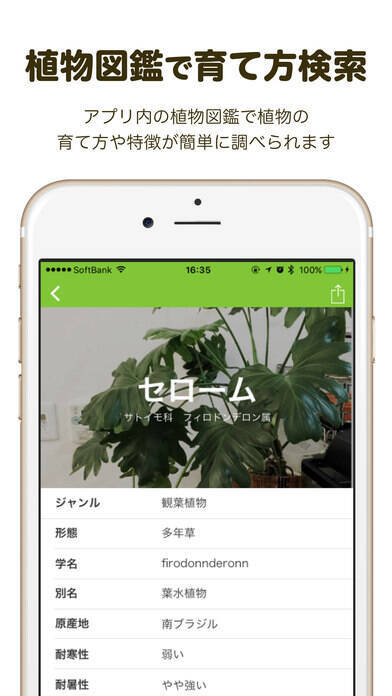 観葉植物やガーデニングが好きな人には必見のアプリ 17年5月31日 エキサイトニュース
