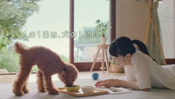 ケツメイシ がcm曲を書き下ろし ドッグフードの モグワン 新cm放映開始 18年7月3日 エキサイトニュース