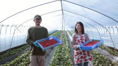 「#元気いただきますプロジェクト」『年末年始も国産食材を食べて応援！キャンペーン』第3弾実施中！『おうち時間篇』WEB動画も公開