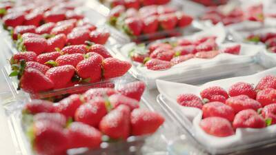 「#元気いただきますプロジェクト」『年末年始も国産食材を食べて応援！キャンペーン』第3弾実施中！『おうち時間篇』WEB動画も公開