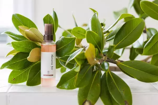 和漢の力で頭皮ケア！新発売の国産オーガニックのスカルプローション