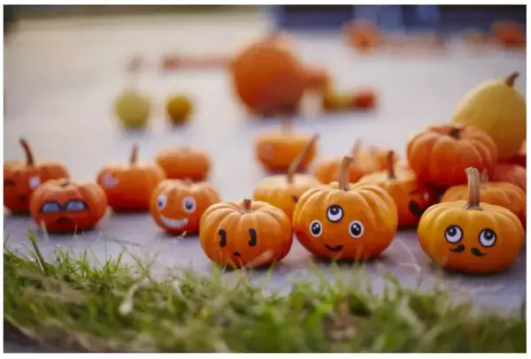 「「ザ・カボチャウミベースキャンプ」に遊びに行こう」の画像