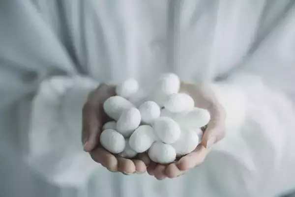 エシカルな白無垢がレンタルできる「やまがシルク」