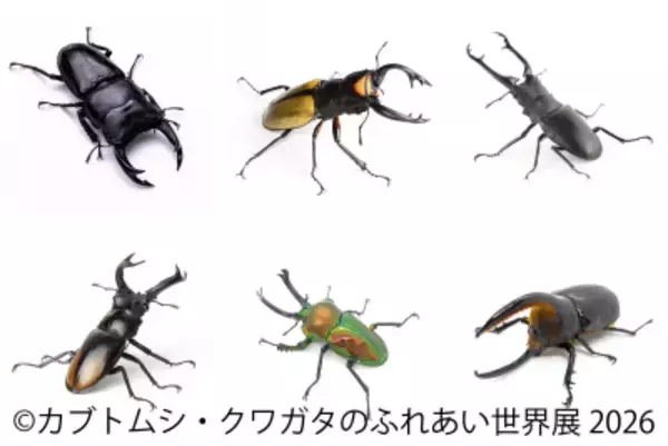 世界のレア昆虫が集結！夏休み限定イベント「カブトムシ・クワガタのふれあい世界展」8/1(土)～東京で開催　AR昆虫採集ゲーム「バグハン！」コラボブースも登場