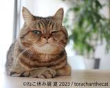 「過去最大規模！人気クリエイターが集結する 「ねこ休み展」夏の本祭が8月18日(金)～東京で開催！人気彫刻家の限定POP UP EVENTも実施」の画像1