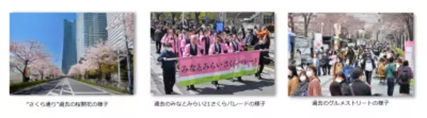 ～綱引き・パレード・グルメストリートなど、コンテンツ盛りだくさん～ みなとみらい21 さくらフェスタ2026