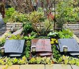 「【新区画オープン】ガーデンデザイナーが手がける新宿の樹木葬「牛込庭苑」2025年11月1日(土)より販売開始」の画像2