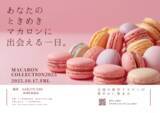 「全国のパティシエが手掛ける新作マカロン発売会【マカロンコレクション2025】を開催！10月17日(金)東京・日本橋KABUTO ONEにて」の画像1