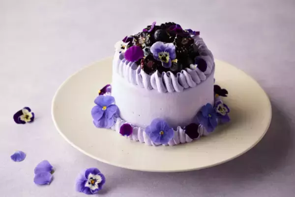 紫で伝える特別な想い！バレンタイン限定オーガニックシュガーのフラワーケーキ登場