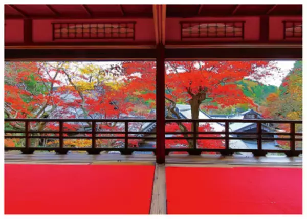 紅葉イベントを京都「柳谷観音」にて11/12(土)～12/4(日)開催、ライトアップ、上書院特別公開、限定御朱印も登場