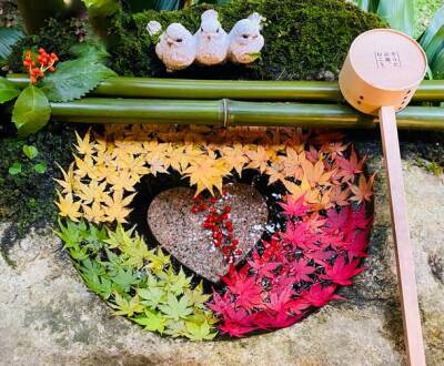 紅葉イベントを京都「柳谷観音」にて11/12(土)～12/4(日)開催、ライトアップ、上書院特別公開、限定御朱印も登場