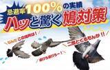 「鳩が寄り付かなくなる「ハト用忌避剤PT-1」が10月にリニューアル　 自然由来の成分で、人やペットへの影響が少なく安心して使用可能」の画像1