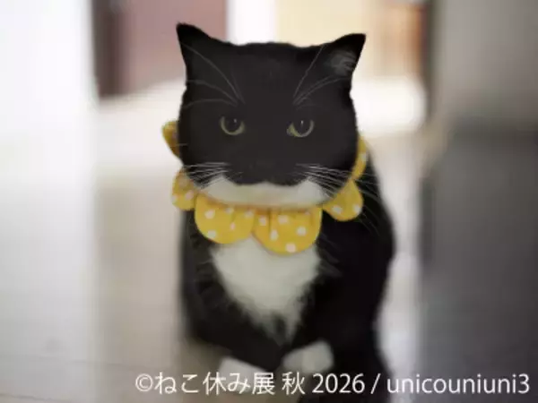 SNSで人気の猫作品が名古屋に集結！「ねこ休み展 秋 2026」を 9/19(土)より開催！初参加の注目猫や特別POP UP EVENTも登場